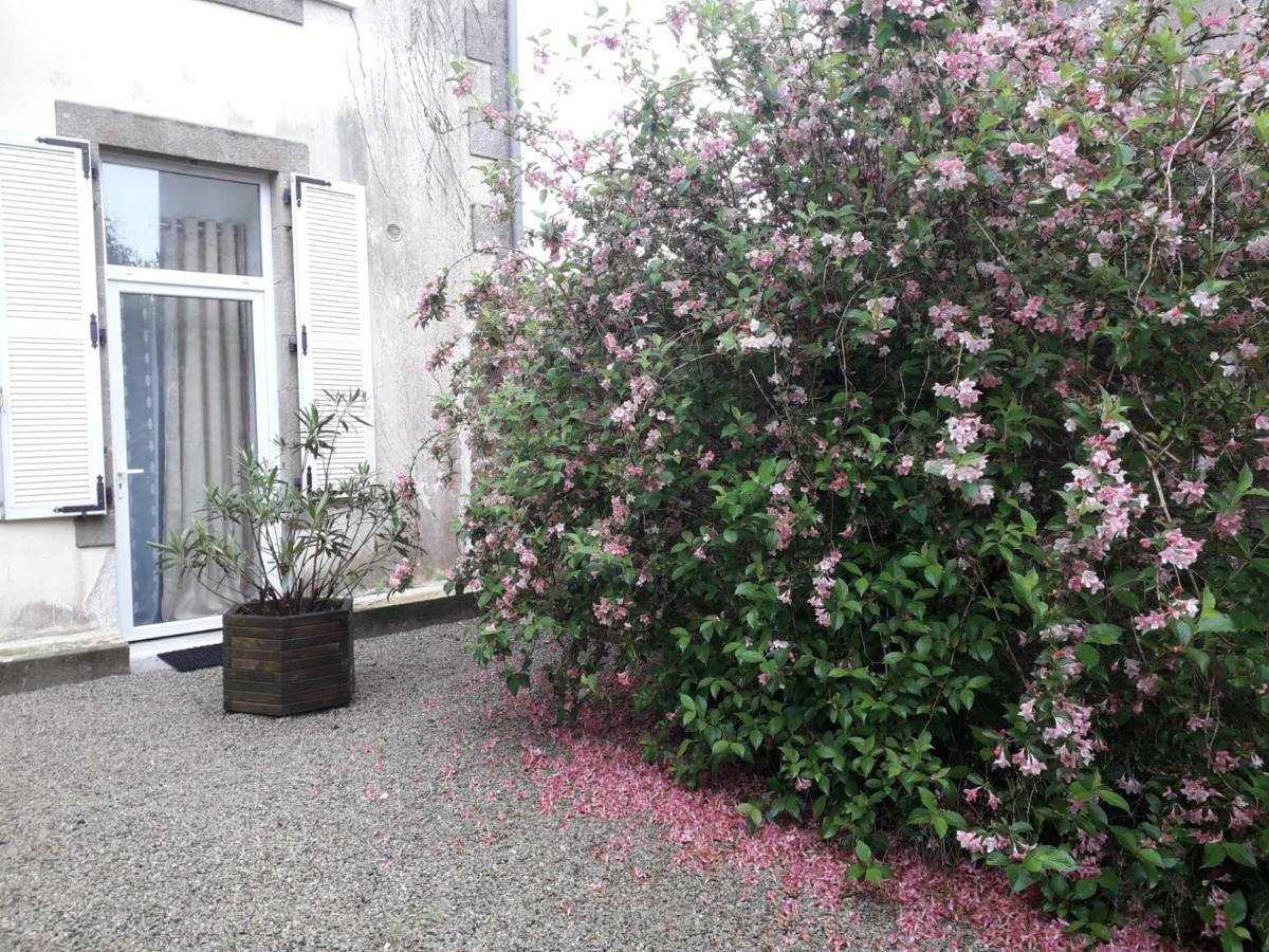 "Cosy Trendy & Chic" - Stayhome Quimper Eksteriør billede